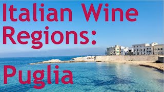 Italian Wine Regions  Puglia [upl. by Hinson]