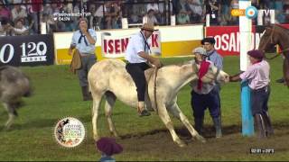 Jineteada en el Festival de Jesús María 2016 Tanda 4 [upl. by Reiter]