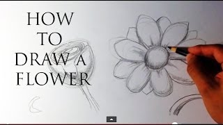 How to Draw a Flower  Easy Drawings [upl. by Soigroeg327]