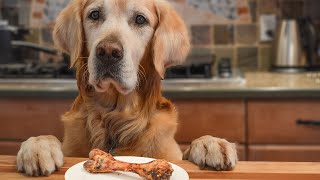 Quick Trick For Training Dog To Stop Stealing Food [upl. by Luana]