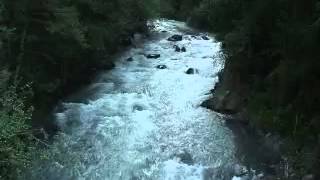 Waterfall Sleep Sounds 8 hours Recorded at Mt Rainier National Park [upl. by Aysa]