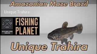 Unique Trahira  Amazonian Maze Brazil  Fishing Planet Guide [upl. by Ardnoel241]