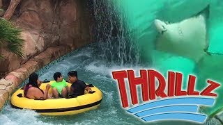 SeaWorlds Aquatica 2017 Overview in HD with POVs San Antonio Texas  Thrillz [upl. by Krock]