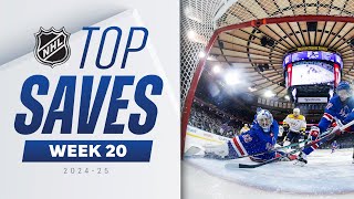 NHL Highlights Top Saves [upl. by Snapp]