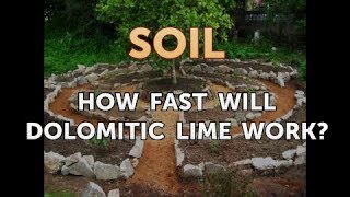 How Fast Will Dolomitic Lime Work [upl. by Ainesej]