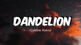 Dandelion  Gabbie Hanna lyrics [upl. by Burl559]