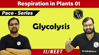 Respiration in Plants 01 Glycolysis  Class 11  Pace series  NEET [upl. by Celestina]