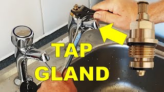 How to Change a Tap Valve while Fixing a Dripping Tap 🚰 Easy DIY [upl. by Nevins]