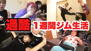 まったく運動しない女3人が毎日トレーニング生活したらキツすぎた【ダイエット】 [upl. by Stroup]