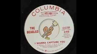 The Beagles  I Wanna Capture You 1966 [upl. by Atcele]