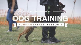 DOG TRAINING FUNDAMENTALS LESSON 1 [upl. by Astraea]