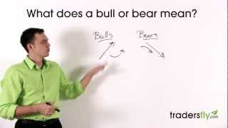 What Does a Bull and Bear Mean in the Stock Market [upl. by Borrell]