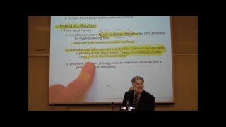 PHARMACOLOGY NARCOTIC ANALGESICS by Professor Fink [upl. by Harriet]