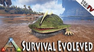 Ark Survival HOW TO TAME A DIPLOCALUS Ark Patch48  DIPLOCALUS  Ark Survival Evolved TAGBACKTV 2 [upl. by Anirres163]