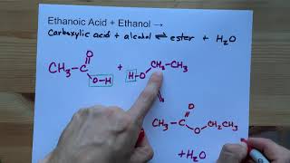 Ethanoic Acid  Ethanol   Ester Reaction [upl. by Carolynne]