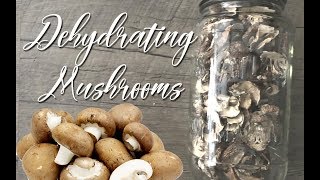 Dehydrating Mushrooms for Long Term Food Stroage [upl. by Laden]