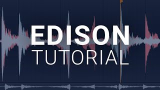 How To Use The Edison  FL Studio Tutorial [upl. by Ursi]