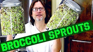 How To Grow Broccoli Sprouts At Home  SUPER EASY [upl. by Aicilaanna1]