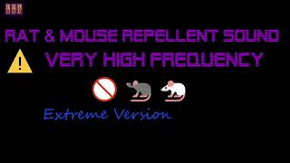 ⚠️Extreme Version 🚫🐀🐁 Rat amp Mouse Repellent Sound Very High Frequency 3 Hour [upl. by Jarita]