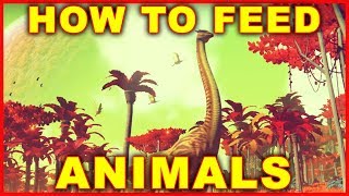 No Mans Sky How to Feed Animals amp Make Bait to Tame Them [upl. by Eppillihp614]