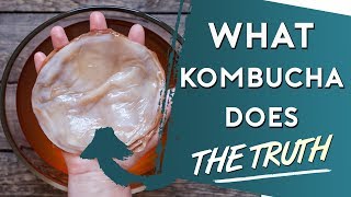 The Truth On What Kombucha Does To Your Body DOCTOR RESPONDS [upl. by Dusa]