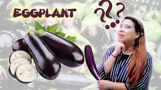 The Easy way to plant Eggplant from store bought eggplants [upl. by Ameh]