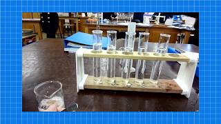 A level Biology ENZYMES REQUIRED PRACTICAL [upl. by Monaco137]