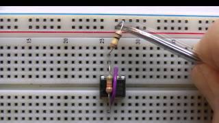 Electronics  555 Timer A Microchip Project [upl. by Chapen]