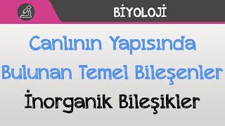 Canlının Yapısında Bulunan Temel Bileşenler  İnorganik Bileşikler [upl. by Corny]