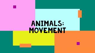 Animals Movements [upl. by Viva]