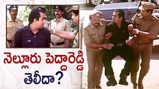 Brahmanandams Nelluru Pedha Reddy Comedy  Anaganaga Oka Roju Comedy Scenes  Brahmi Comedy Scenes [upl. by Epuladaug]