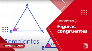 82 Figuras congruentes [upl. by Debor]