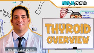 Endocrinology  Thyroid Overview [upl. by Devinna]