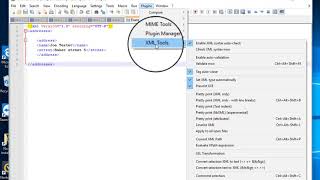 Notepad Validate xml with xsd [upl. by Eiramanitsirhc]
