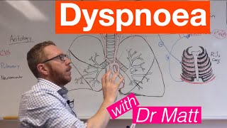 Dyspnoea  Respiratory System [upl. by Bambi]