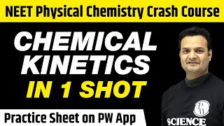 CHEMICAL KINETICS in One Shot  All Concepts Tricks amp PYQs Covered  Class 12  NEET [upl. by Rosenberg]