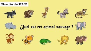 【Bruits de FLE】 Quel est cet animal sauvage [upl. by Tuttle]