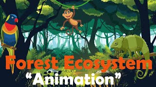 FOREST ECOSYSTEM  Biology Animation [upl. by Darin]