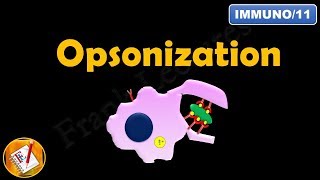 Opsonization FLImmuno11 [upl. by Yrruc]