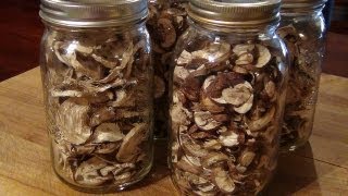 How To Dehydrate Mushrooms [upl. by Nancy326]