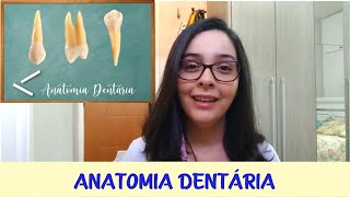 Anatomia Dental Aula de Introdução à Odontologia [upl. by Lednor]