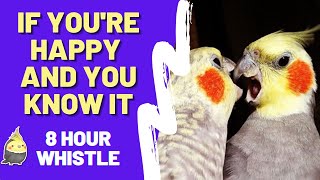 IF YOURE HAPPY AND YOU KNOW IT 8 HOUR WHISTLE PRACTICE FOR BIRDS  Whistling Songs For Cockatiels [upl. by Ernaldus3]