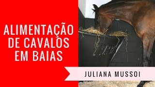 Alimentação de Cavalos em Baias ou Cocheiras [upl. by Nikal]