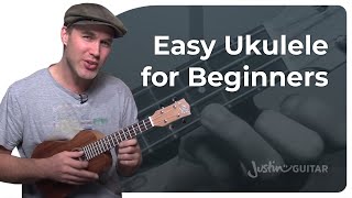 How to Play the Ukulele 4 Easy Chords amp Many Songs [upl. by Reteid]