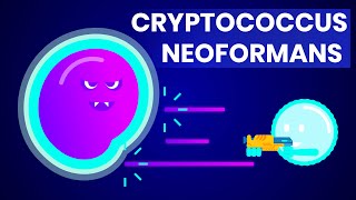 Cryptococcus neoformans And how it affects HIVAIDS patients [upl. by Aruam]