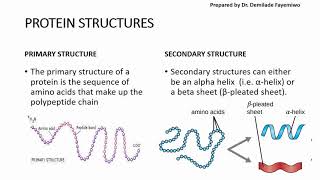 Chapter 23 Biological Molecules  Proteins [upl. by Myles]