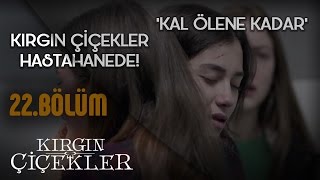 Kırgın Çiçekler 22Bölüm  Kal Ölene Kadar  Tuna Velibaşoğlu  Klip [upl. by Etnahc]