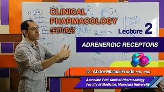 Autonomic Pharmacology Ar  Lec 02  Adrenergic Receptors [upl. by Bob]