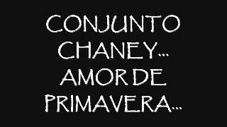 AMOR DE PRIMAVERA Conjunto Chaney [upl. by Yelyr146]