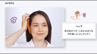 【HOWTO】「パドル ブラシ」の使い方＆簡単お手入れ方法 [upl. by Yracaz]